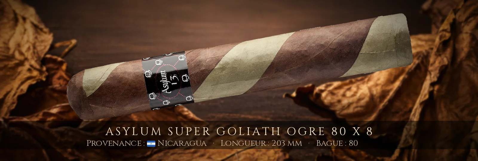 Asylum Super Goliath Ogre 80 x 8 — Asylum — Nicaragua