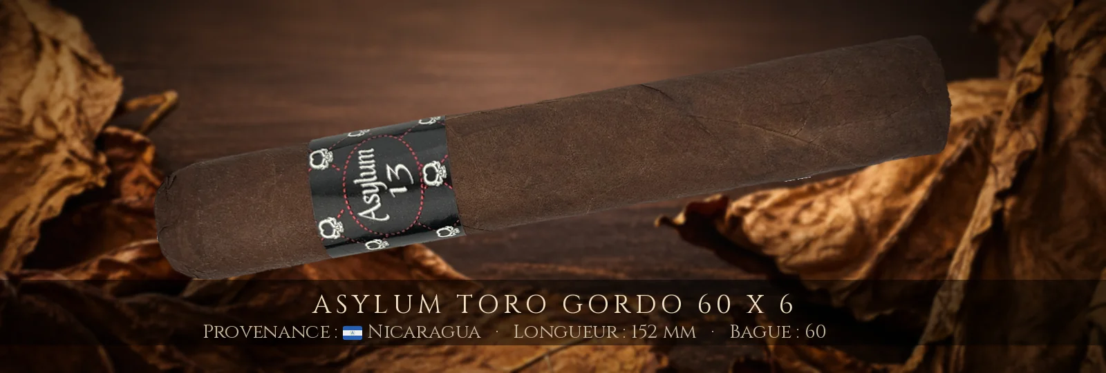 Asylum Toro Gordo 60 x 6 — Asylum — Nicaragua