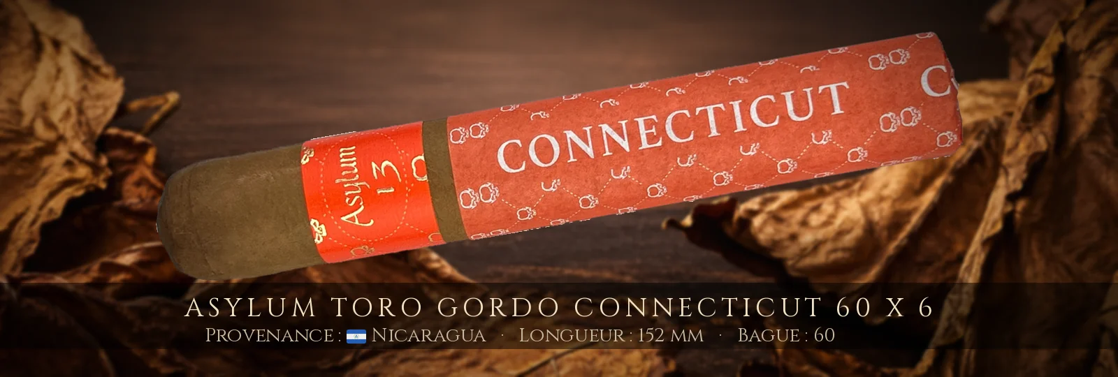 Asylum Toro Gordo Connecticut 60 x 6 — Asylum — Nicaragua