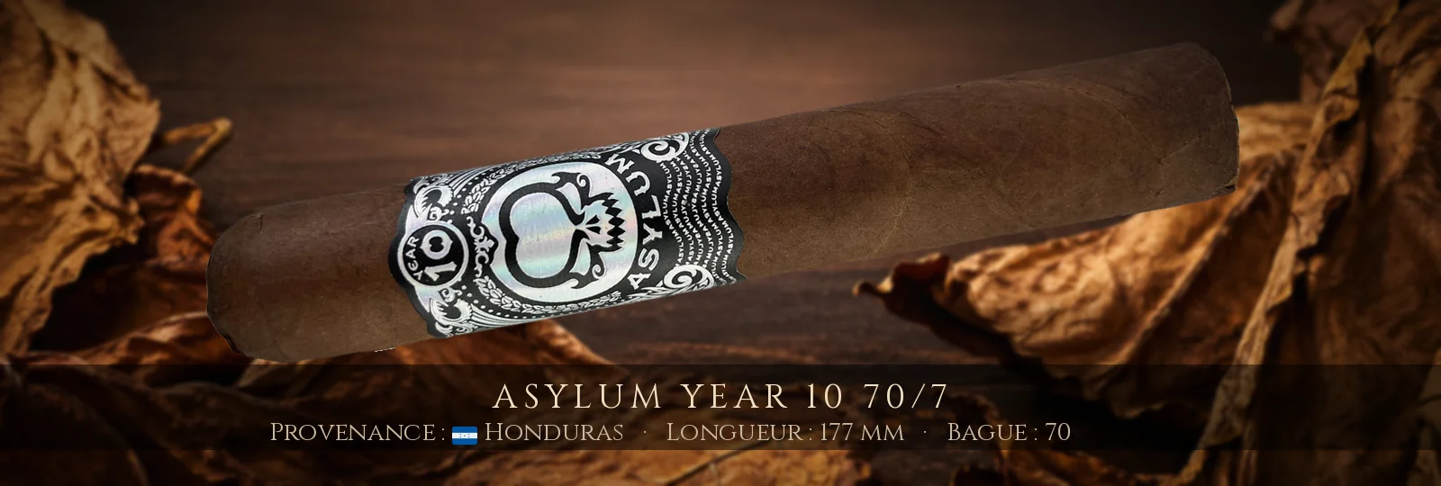 Asylum Year 10 70/7 — Asylum — Honduras