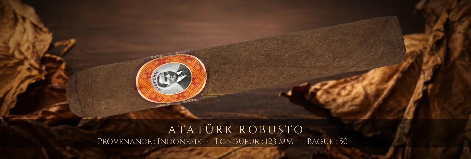 Atatürk Robusto — Atatürk — Indonésie