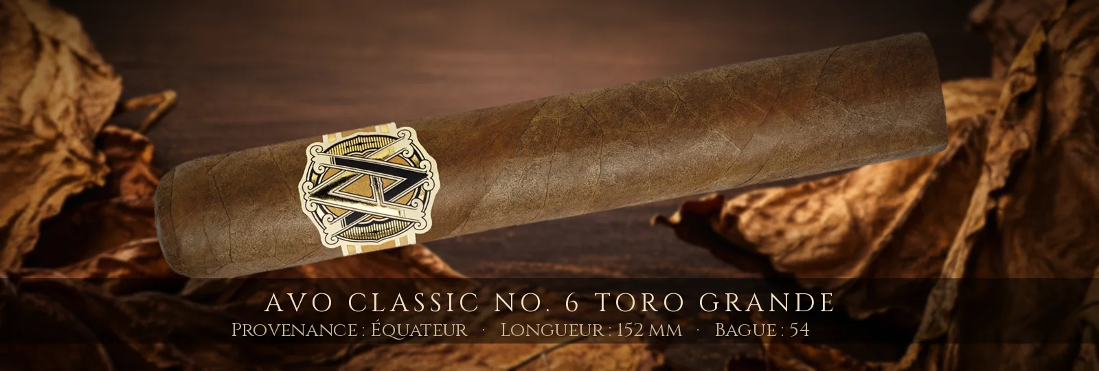 AVO Classic No. 6 Toro Grande — AVO — Équateur