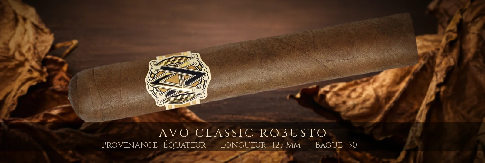 AVO Classic Robusto — AVO — Équateur