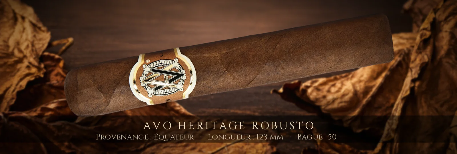 AVO Heritage Robusto