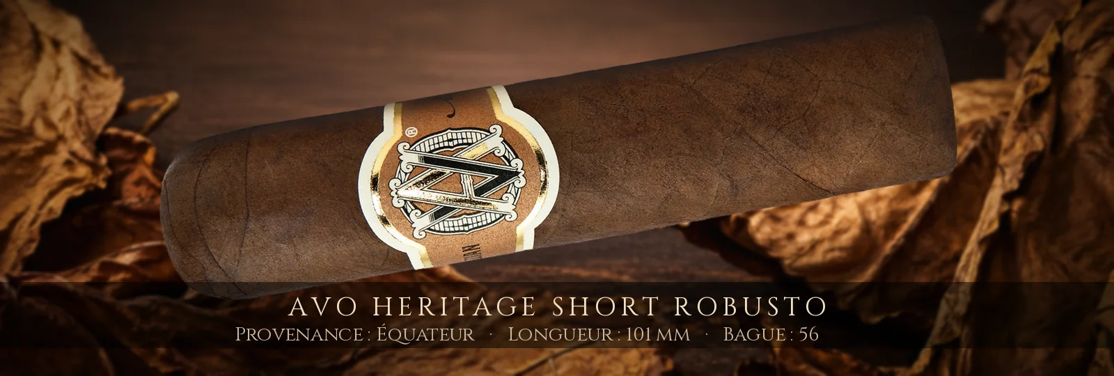 AVO Heritage Short Robusto — AVO — Équateur