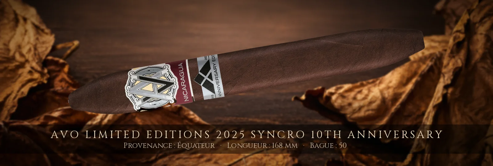 AVO Limited Editions 2025 Syncro 10th Anniversary — AVO — Équateur