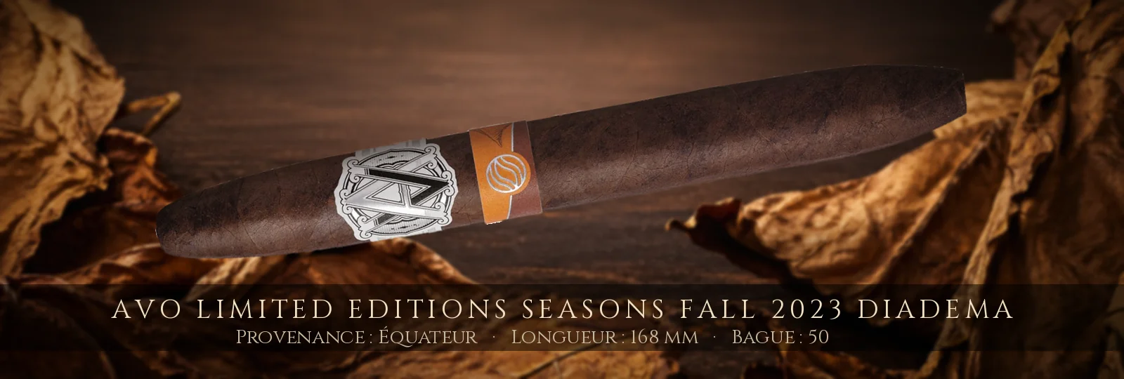 AVO Limited Editions Seasons Fall 2023 Diadema — AVO — Équateur