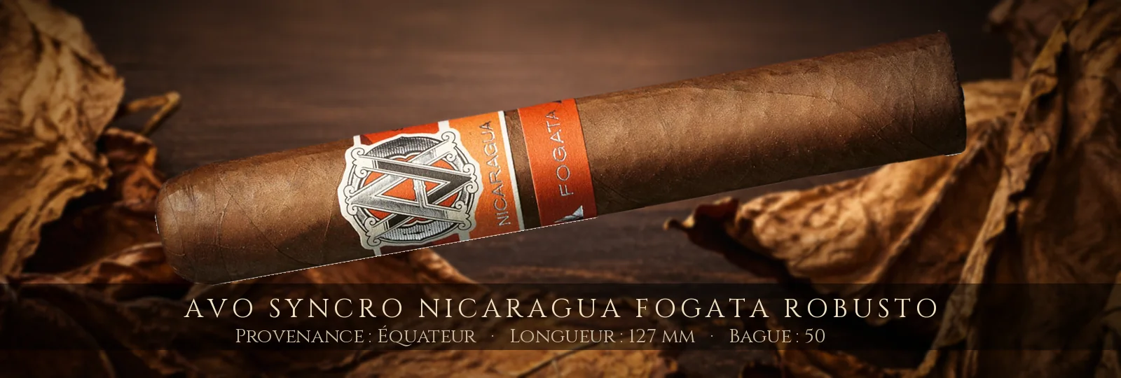 AVO Syncro Nicaragua Fogata Robusto — AVO — Équateur