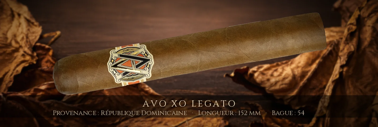 AVO XO Legato — AVO — République Dominicaine
