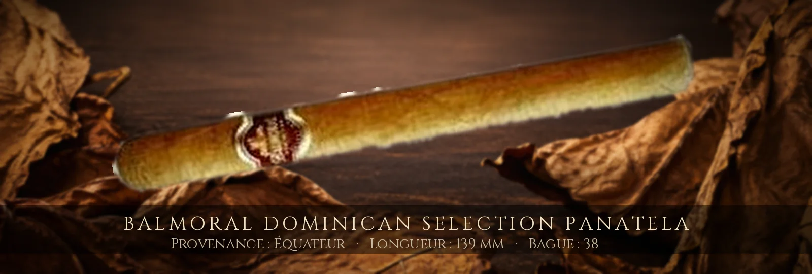 Balmoral Dominican Selection Panatela — Balmoral — Équateur