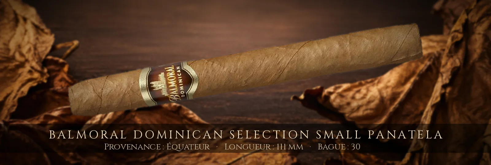Balmoral Dominican Selection SMALL Panatela — Balmoral — Équateur