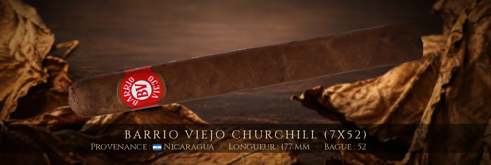 Barrio Viejo Churchill (7x52) — Barrio Viejo — Nicaragua