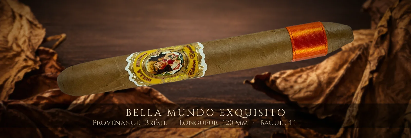 Bella Mundo Exquisito — Bella Mundo — Brésil