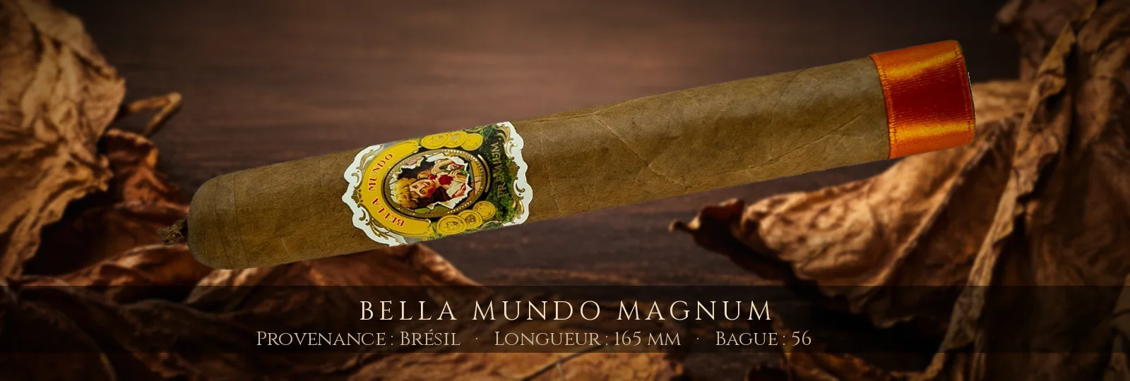 Bella Mundo Magnum — Bella Mundo — Brésil