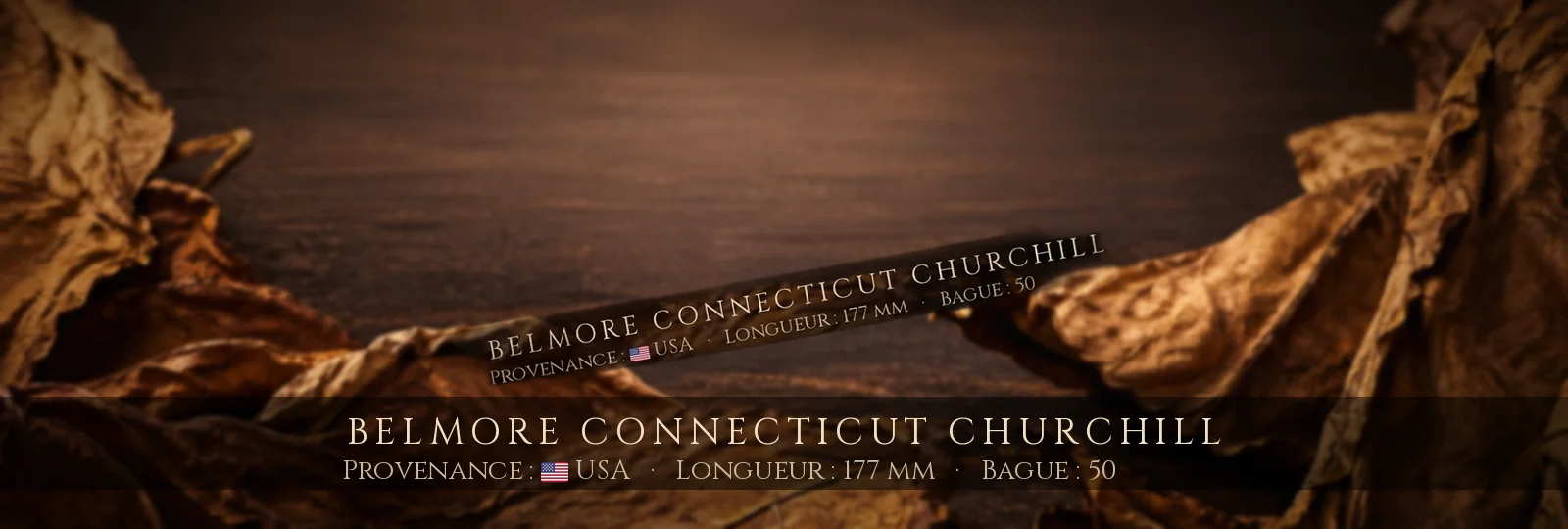 Belmore Connecticut Churchill — Belmore — USA