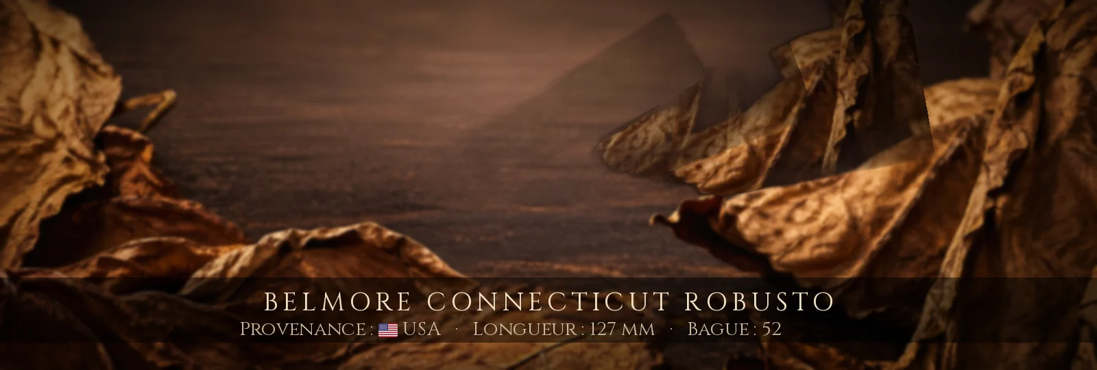 Belmore Connecticut Robusto — Belmore — USA