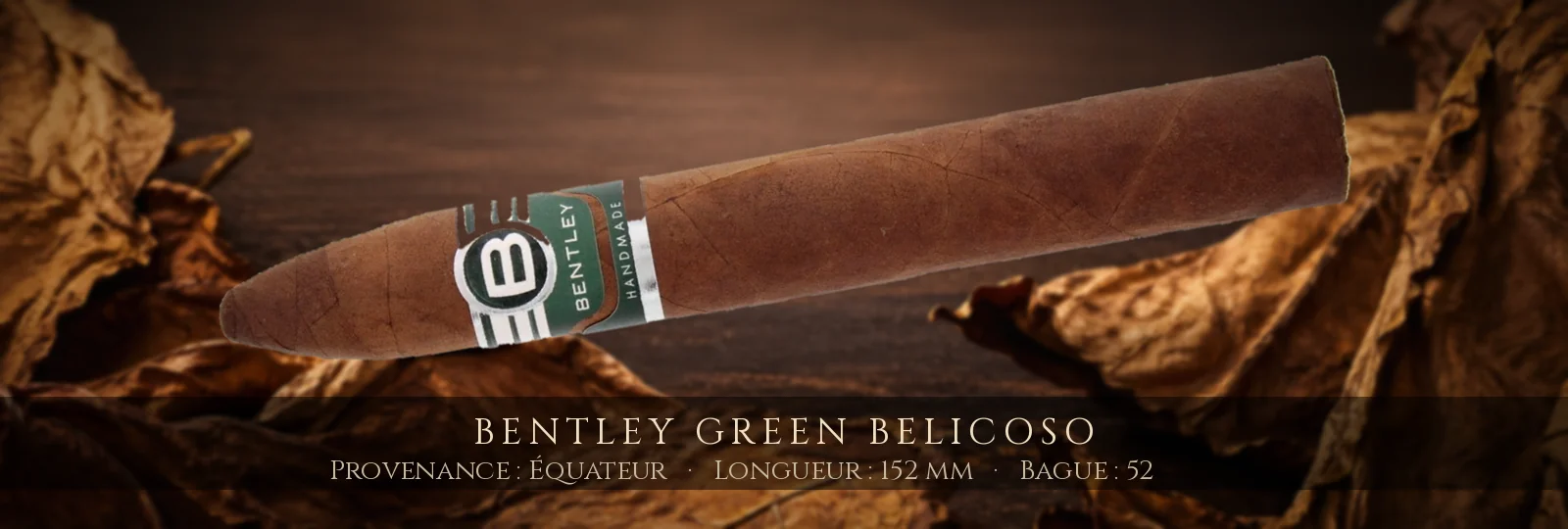 Bentley Green Belicoso — Bentley — Équateur