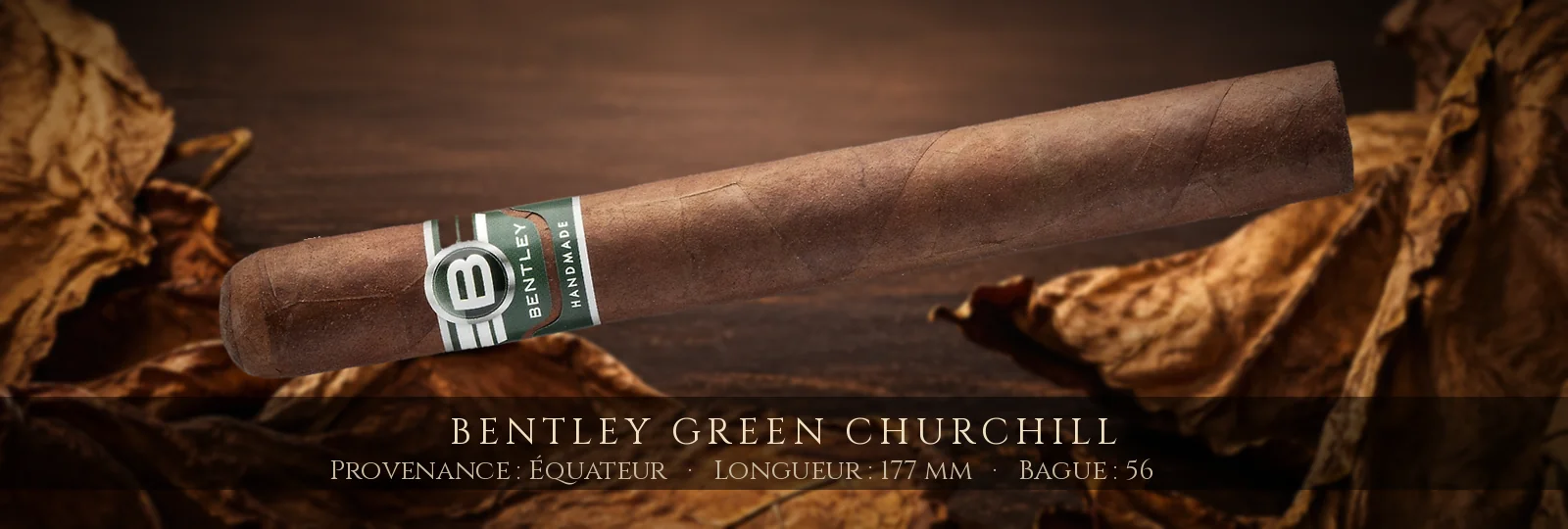Bentley Green Churchill — Bentley — Équateur