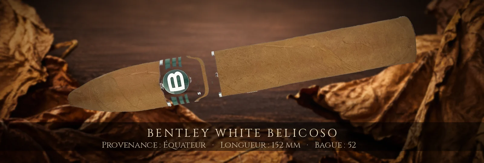 Bentley White Belicoso — Bentley — Équateur