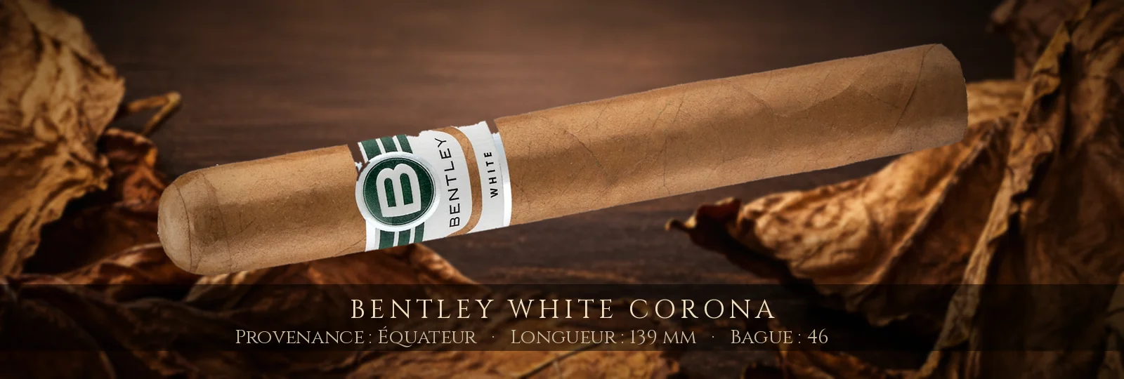 Bentley White Corona — Bentley — Équateur
