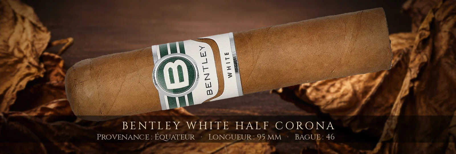 Bentley White Half Corona — Bentley — Équateur