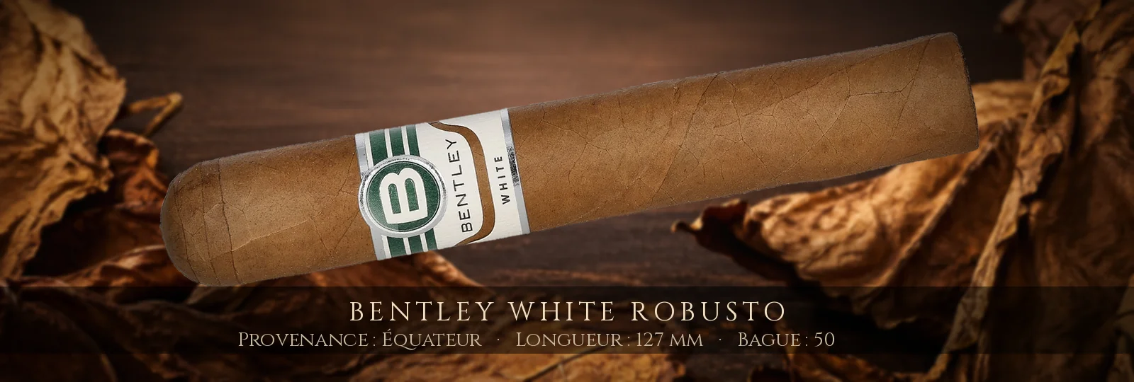 Bentley White Robusto — Bentley — Équateur