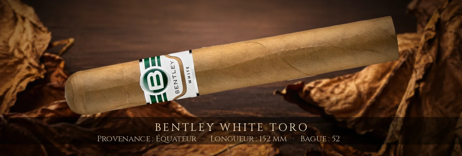 Bentley White Toro — Bentley — Équateur