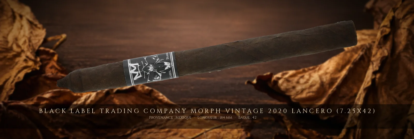 Black Label Trading Company Morph Vintage 2020 Lancero (7.25x42) — Black Label Trading Company — Mexique