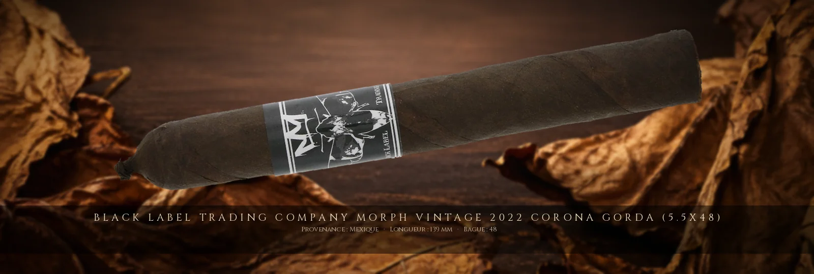 Black Label Trading Company Morph Vintage 2022 Corona Gorda (5.5x48) — Black Label Trading Company — Mexique
