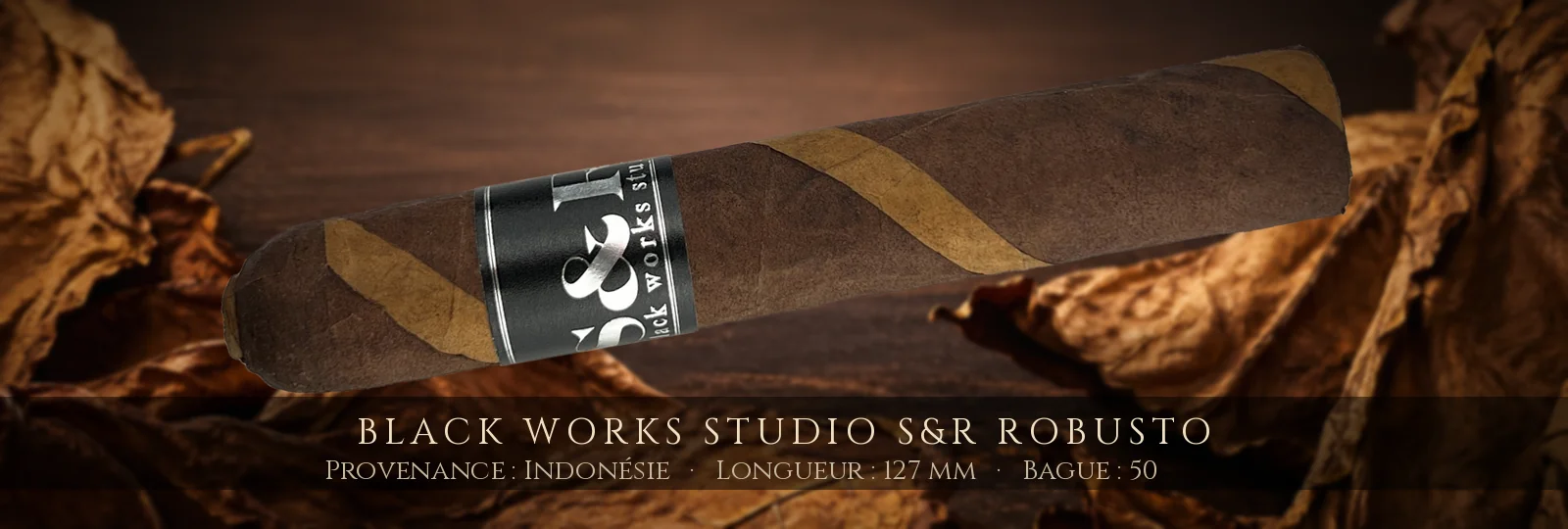 Black Works Studio S&R Robusto — Black Works Studio — Indonésie