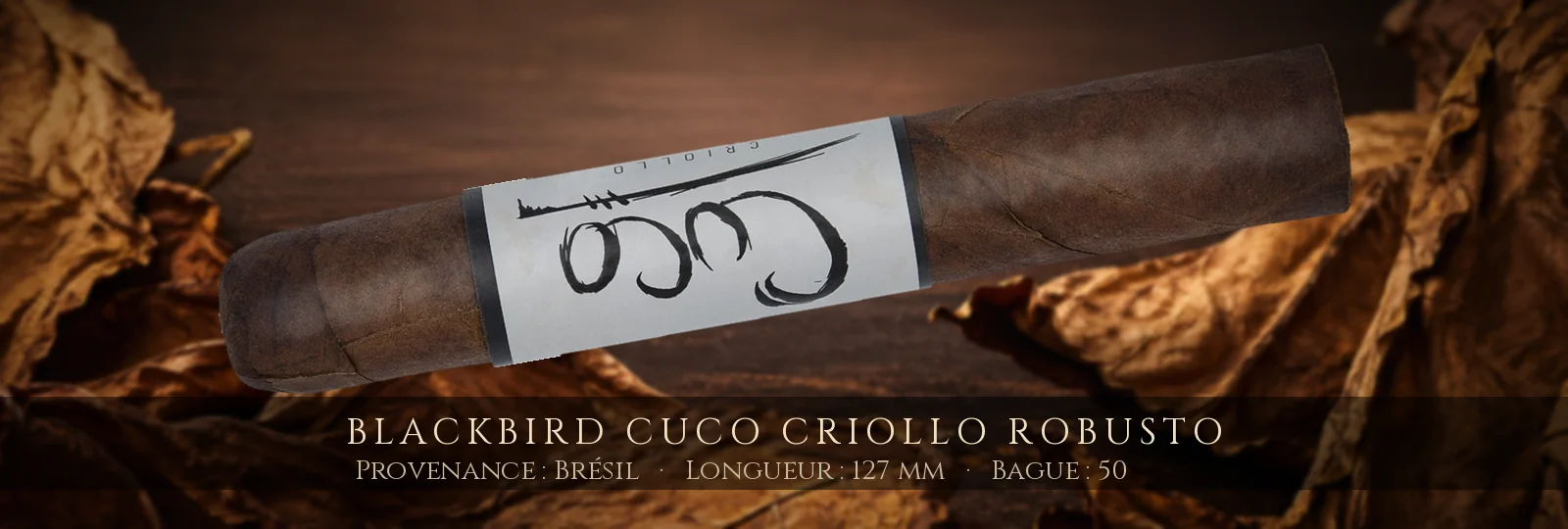 Blackbird Cuco Criollo Robusto — Blackbird — Brésil