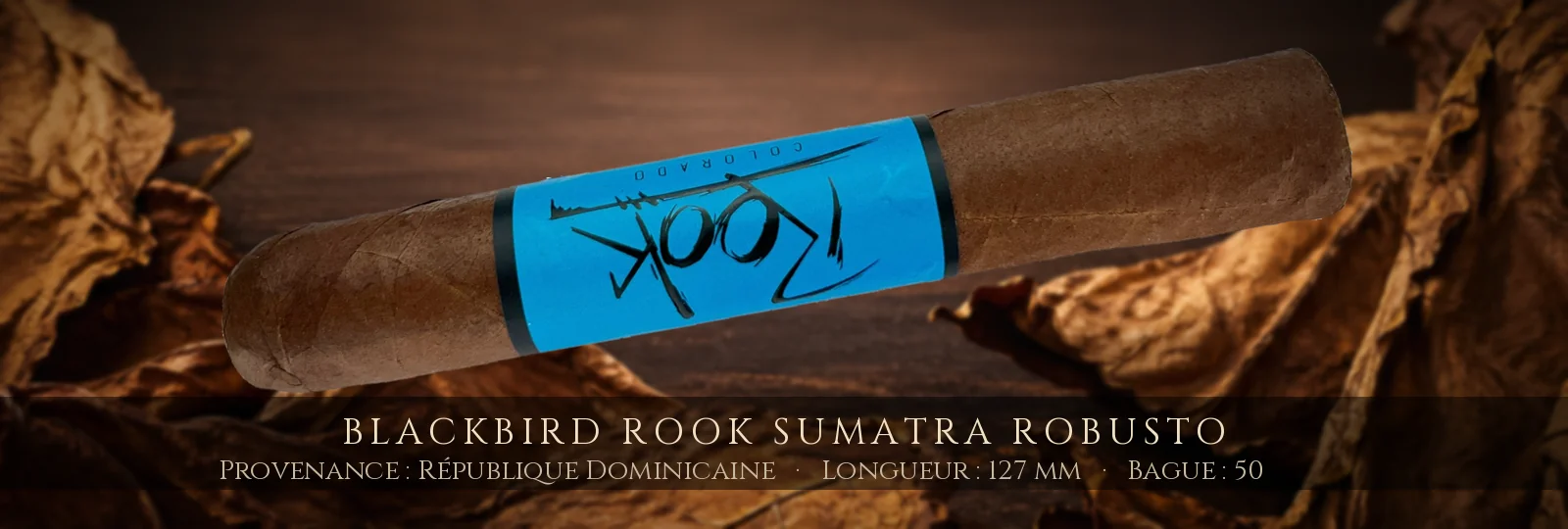 Blackbird Rook Sumatra Robusto — Blackbird — République Dominicaine