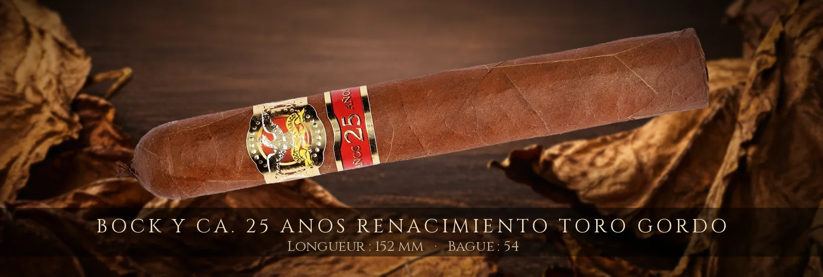Bock y Ca. 25 Anos Renacimiento Toro Gordo — Bock y Ca.