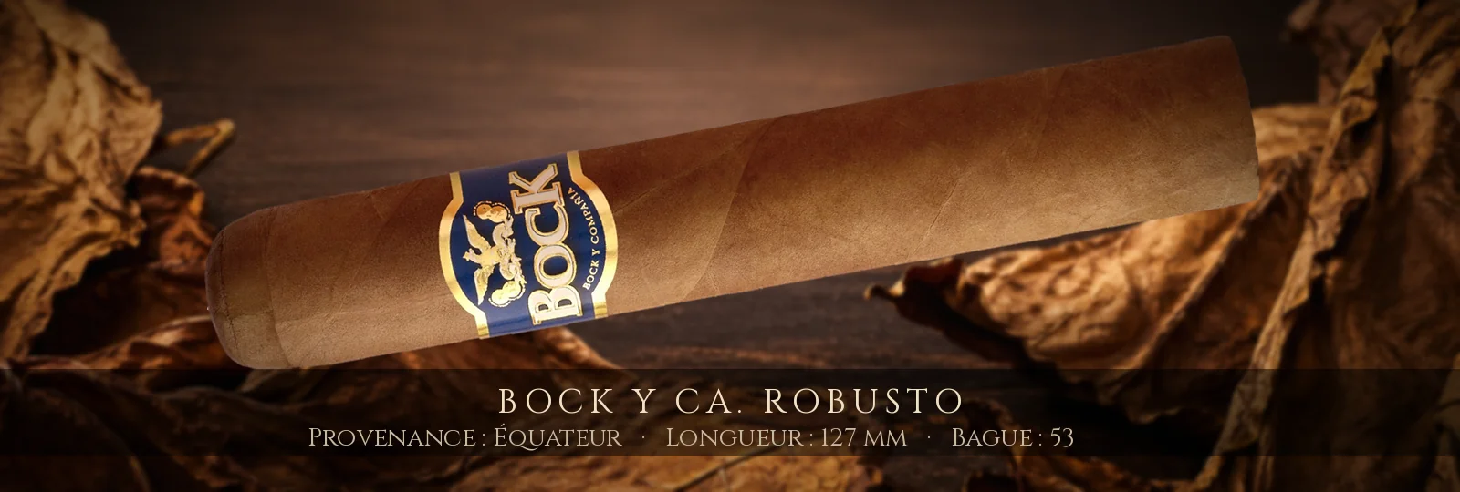 Bock y Ca. Robusto — Bock y Ca. — Équateur