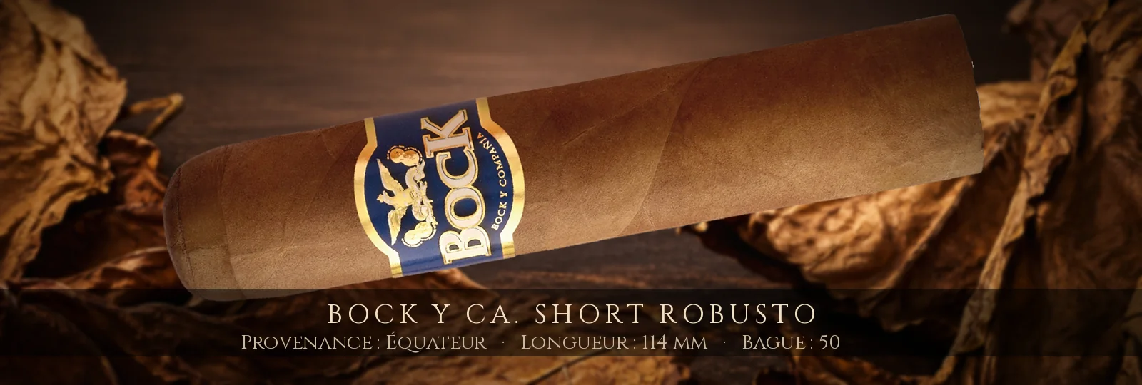 Bock y Ca. Short Robusto — Bock y Ca. — Équateur