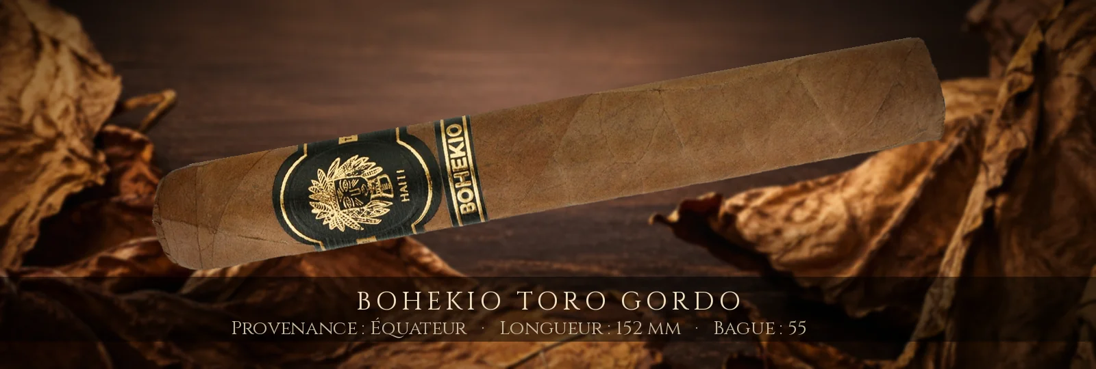 Bohekio Toro Gordo — Bohekio — Équateur