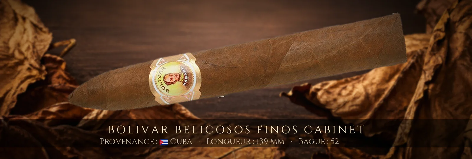 Bolivar Belicosos Finos Cabinet