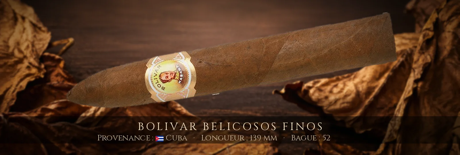 Bolivar Belicosos Finos