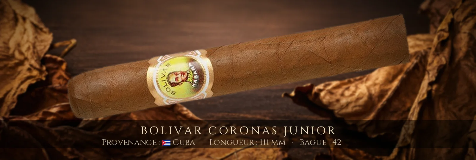 Bolivar Coronas Junior