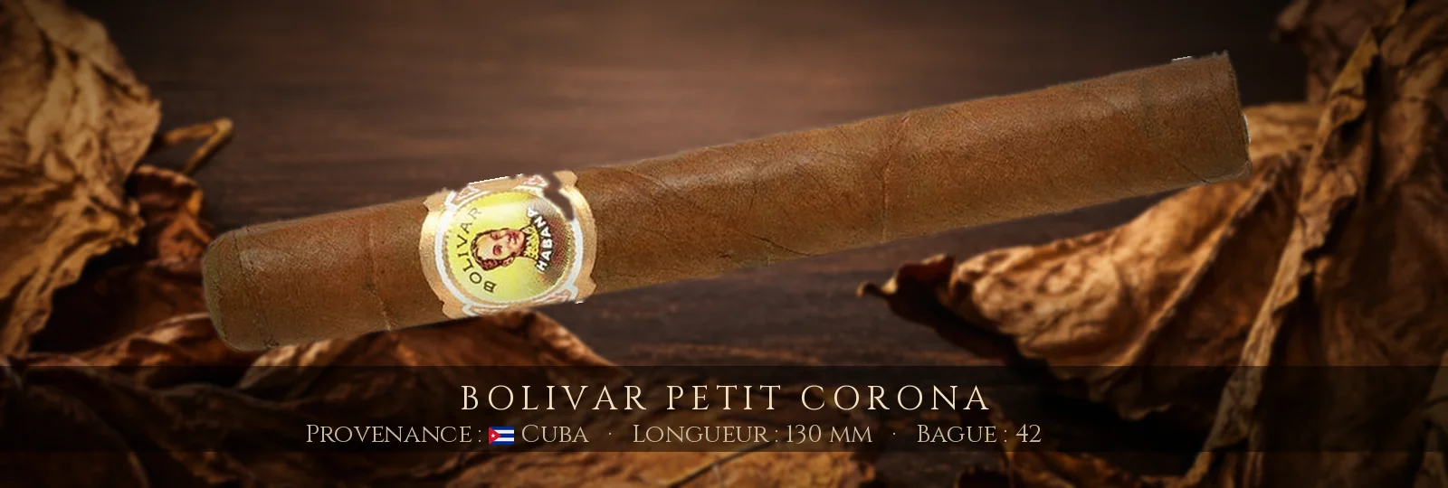 Bolivar Petit Corona