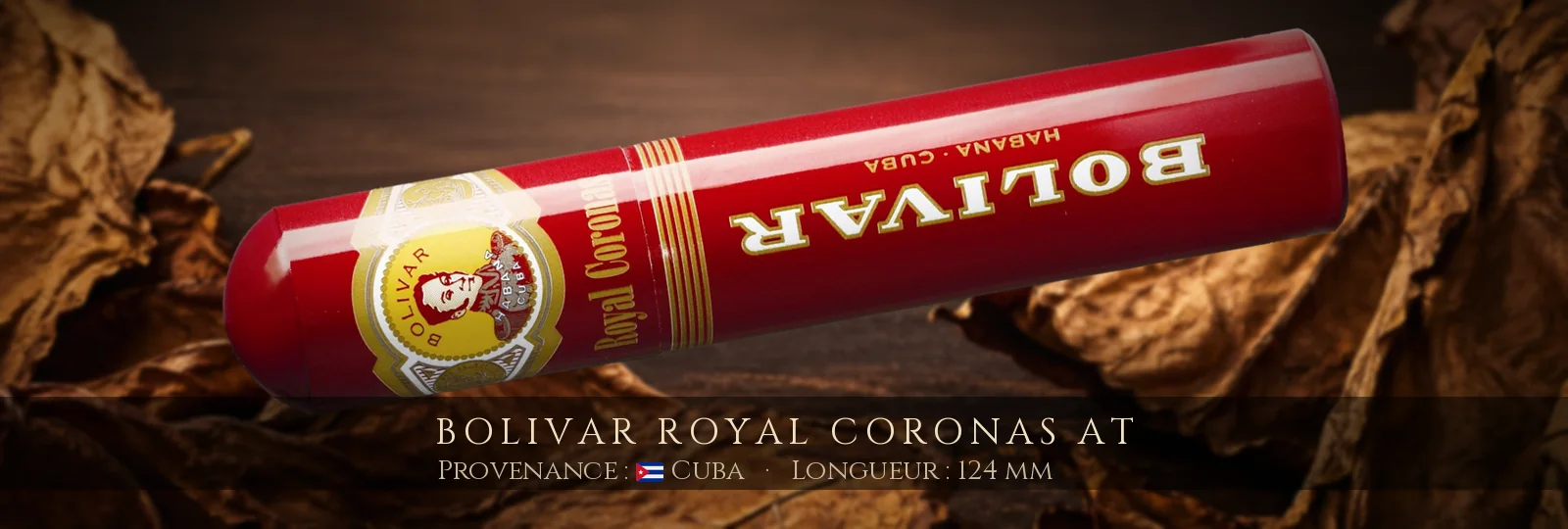 Bolivar Royal Coronas AT