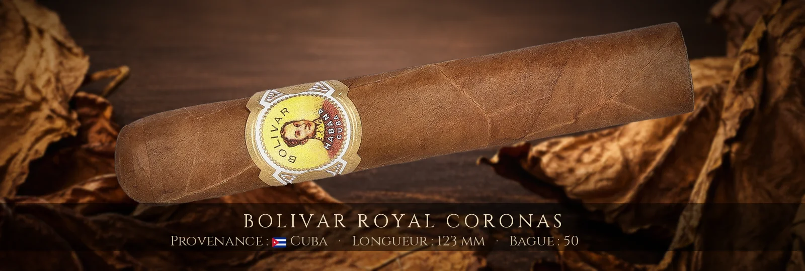 Bolivar Royal Coronas — Bolivar — Cuba