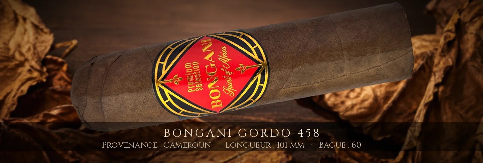 Bongani Gordo 458 — Bongani — Cameroun