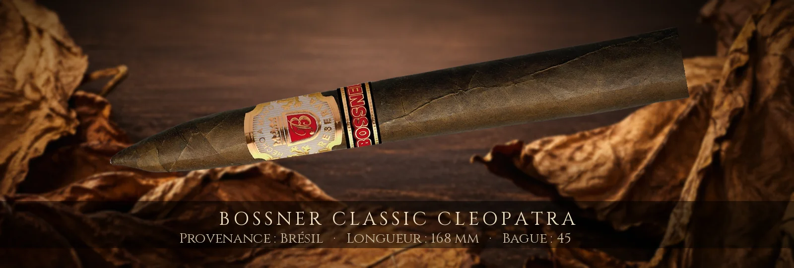 Bossner Classic Cleopatra — Bossner — Brésil