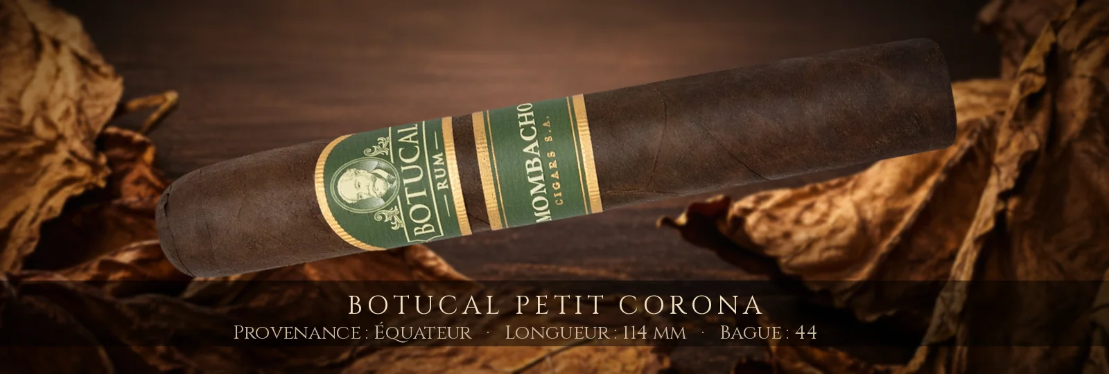 Botucal Petit Corona — Botucal — Équateur