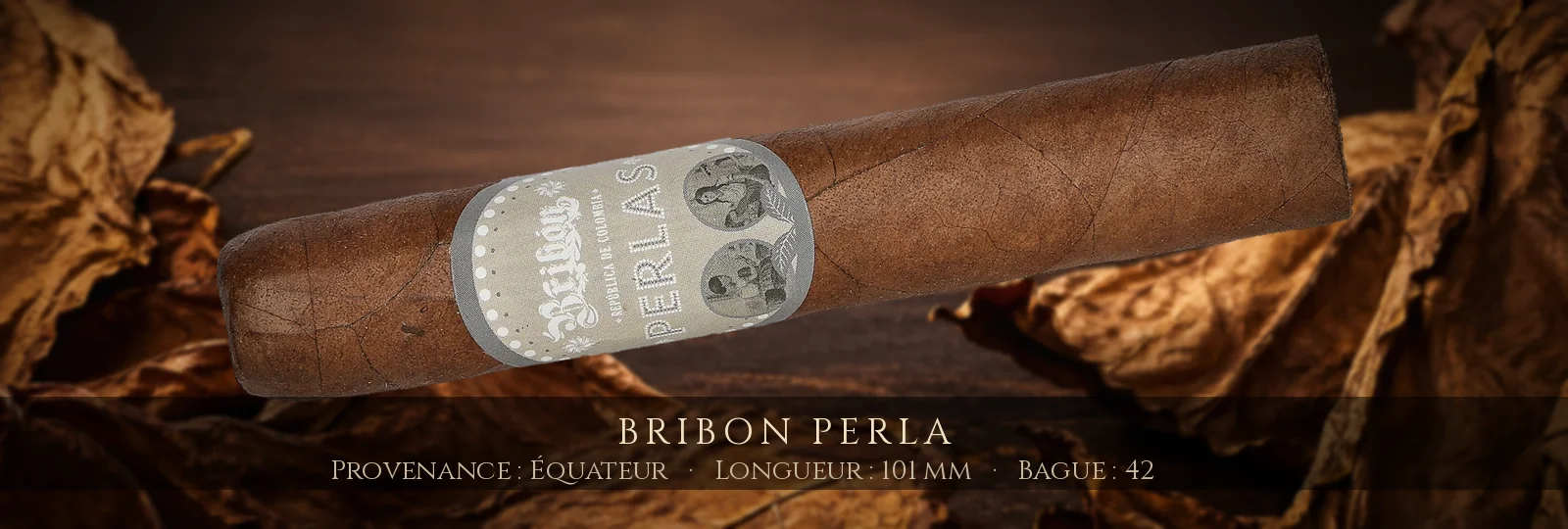 Bribon Perla — Bribon — Équateur