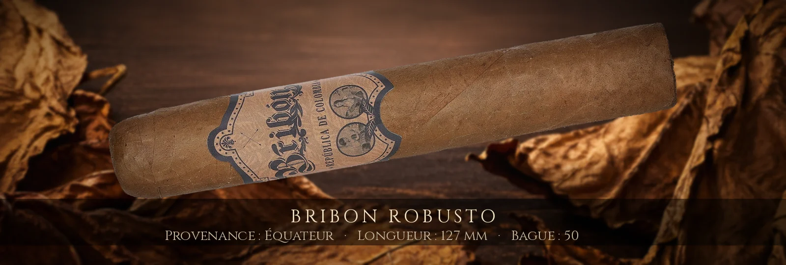 Bribon Robusto — Bribon — Équateur