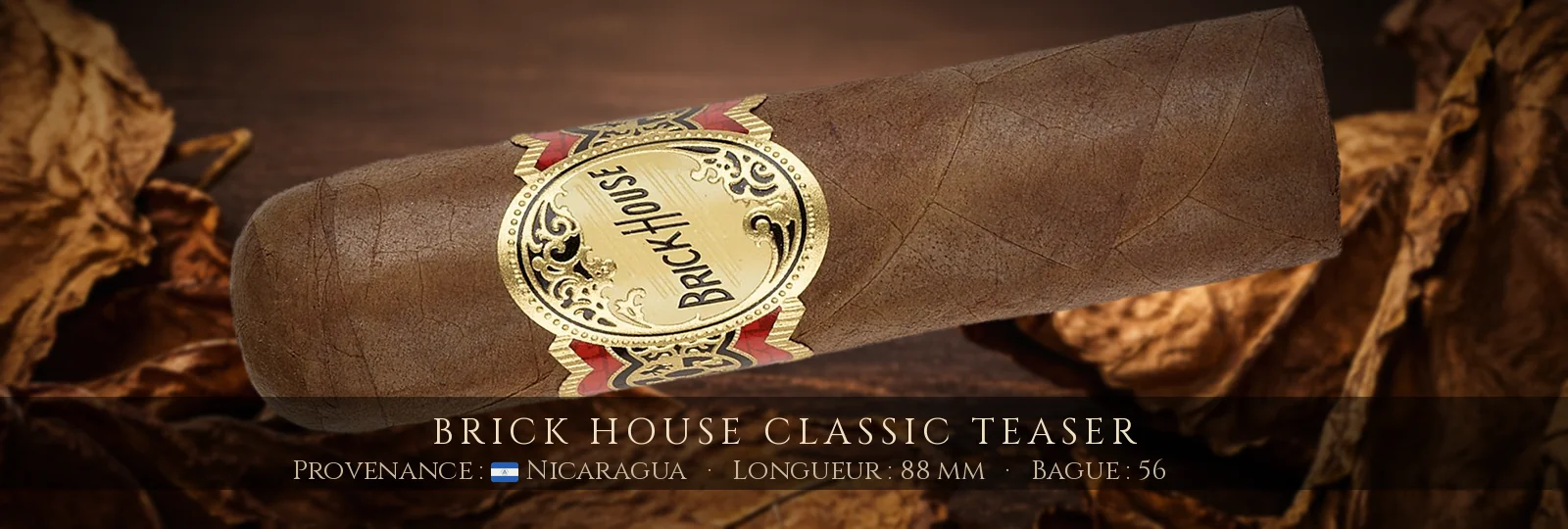 Brick House Classic Teaser — Brick House — Nicaragua