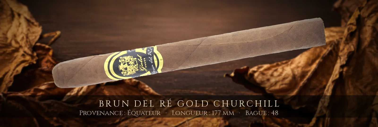 Brun del Ré Gold Churchill — Brun del Ré — Équateur