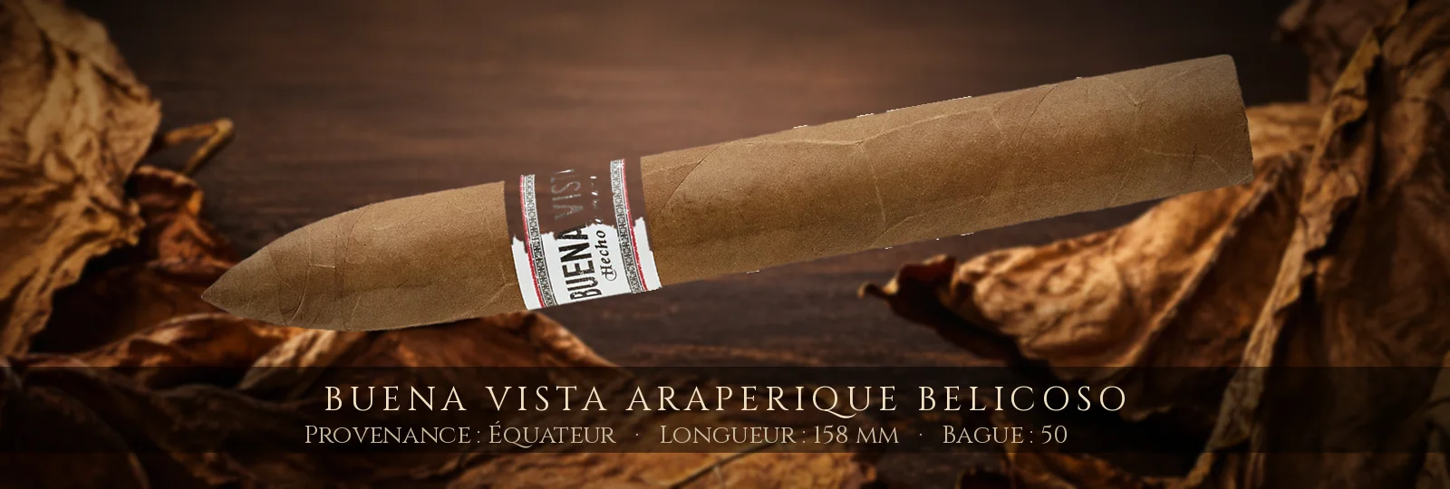 Buena Vista Araperique Belicoso — Buena Vista — Équateur